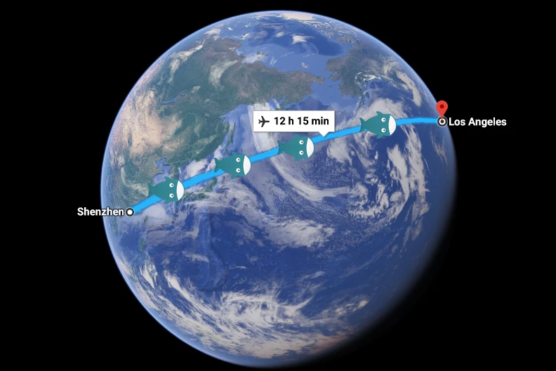 Air Shipping Shenzhen to Los Angeles
