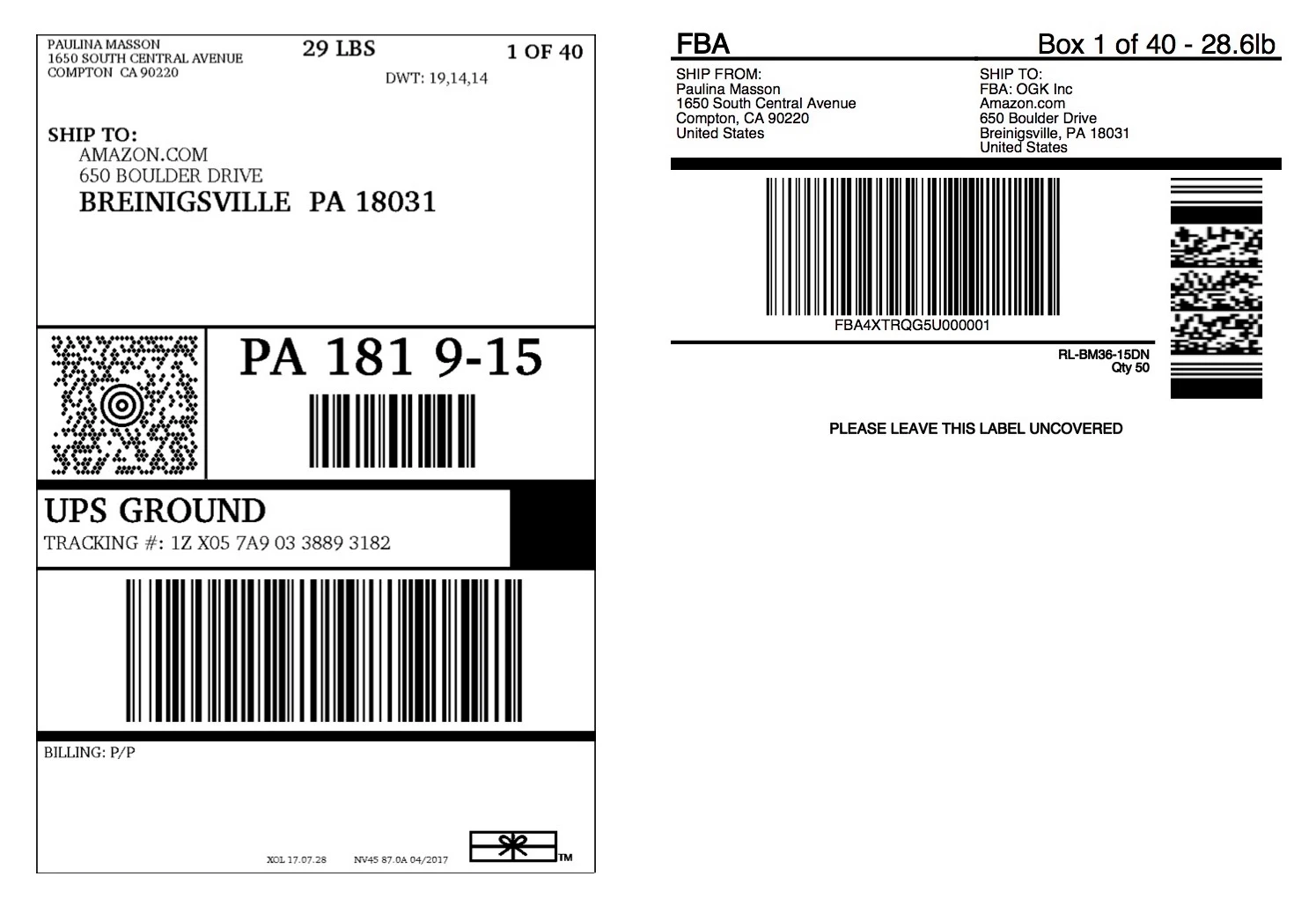 Amazon FBA UPS Shipping Label Example