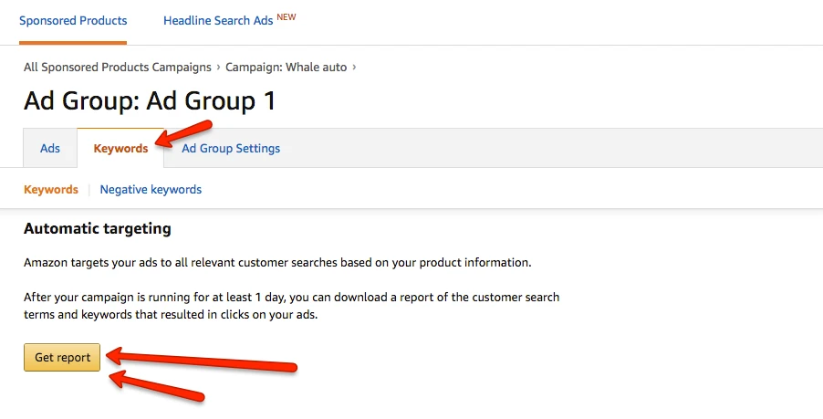 Amazon Seller Central Auto Campaign Keywords Screenshot